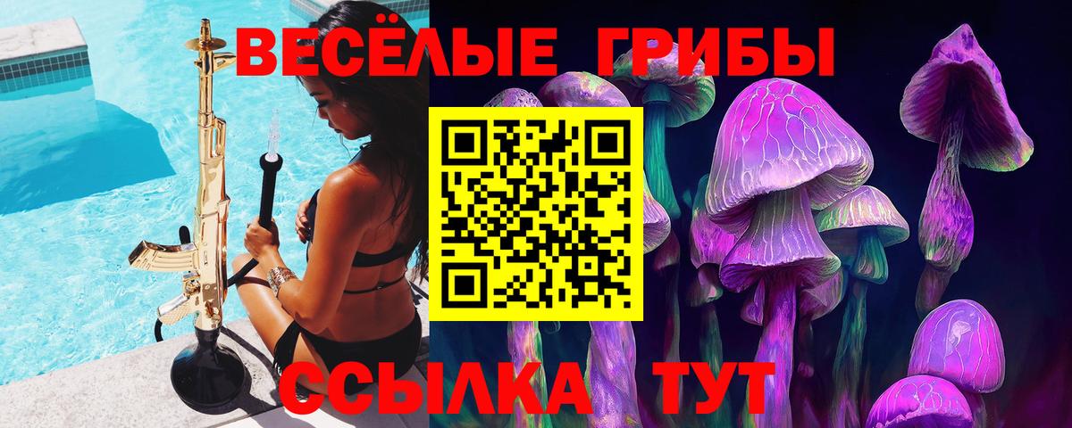 Псилоцибиновые грибы Psilocybe Малоярославец