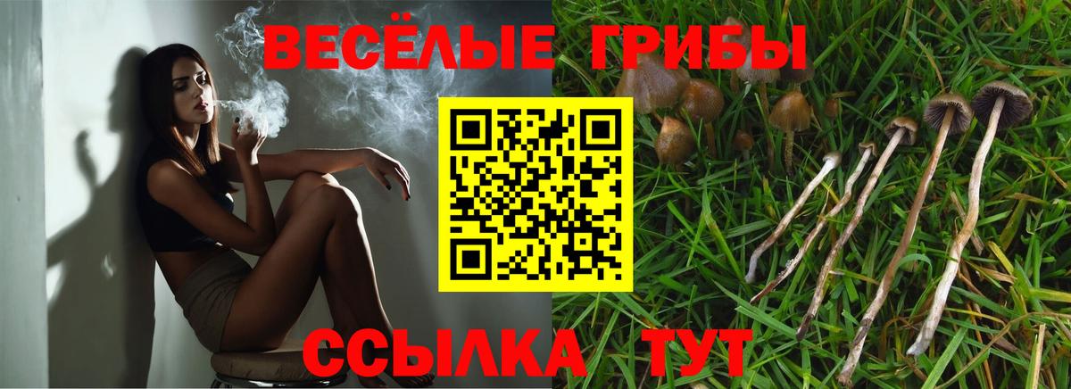 Галлюциногенные грибы ЛСД  Галлюциногенные грибы Psilocybe  Малоярославец  хочу   Вход с VPN 